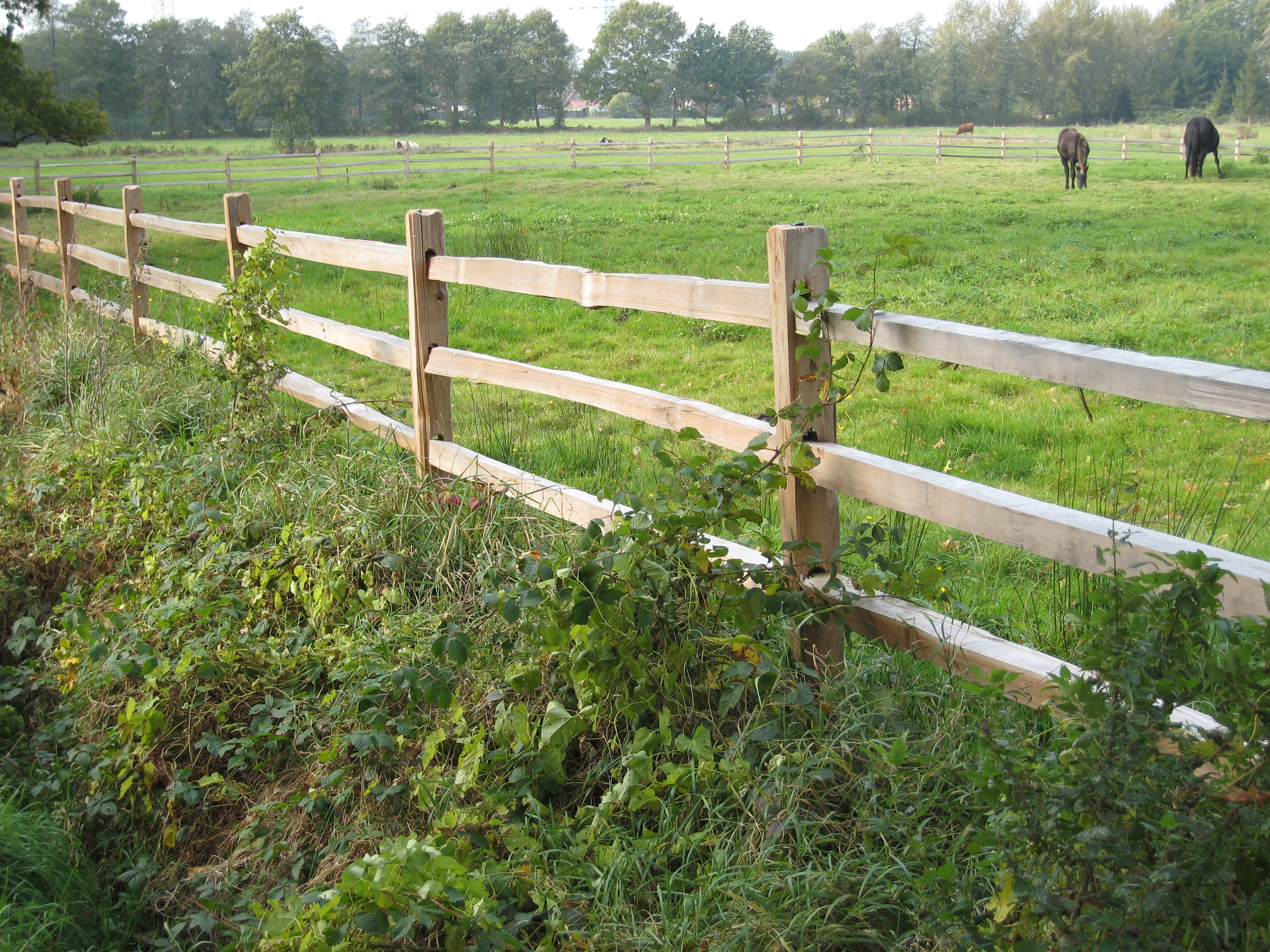 Een rustiek cederhouten paardenhek grenst aan een weide waar twee paarden grazen.