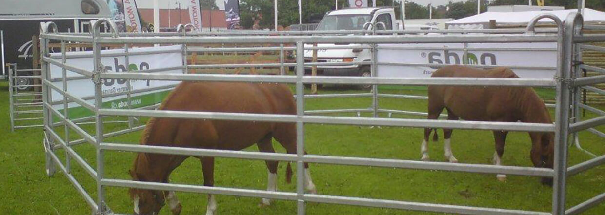 Twee pony's grazen in een hok op een dierenshow.