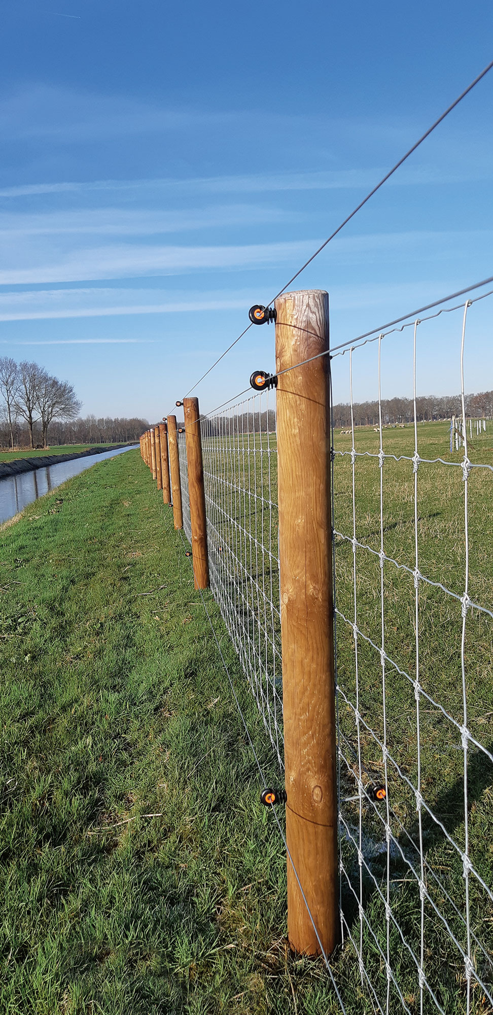 Een omheining met schapen is beveiligd tegen wolven met drie elektrische draden.