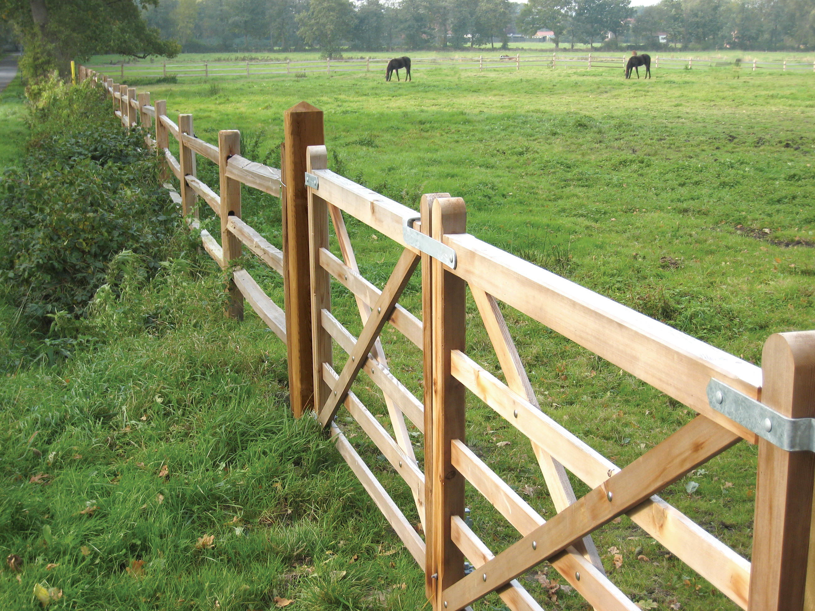 Twee houten poorten en een rustiek cederhouten paardenhek vormen een paardenweide waar twee paarden grazen.