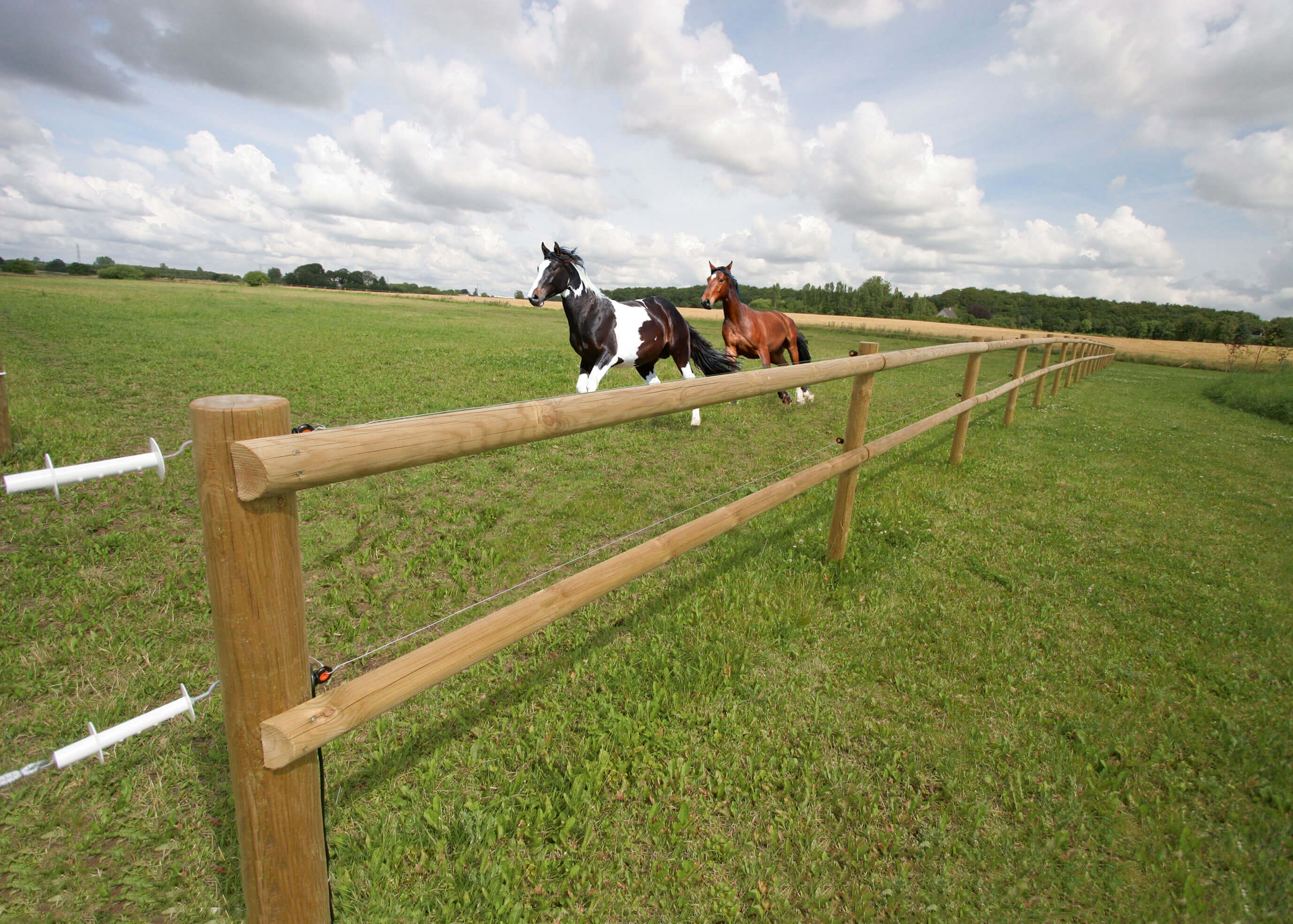 Twee paarden galopperen naast elkaar in hun paddock. Een houten hekwerk begrenst het gebied van de paddock.